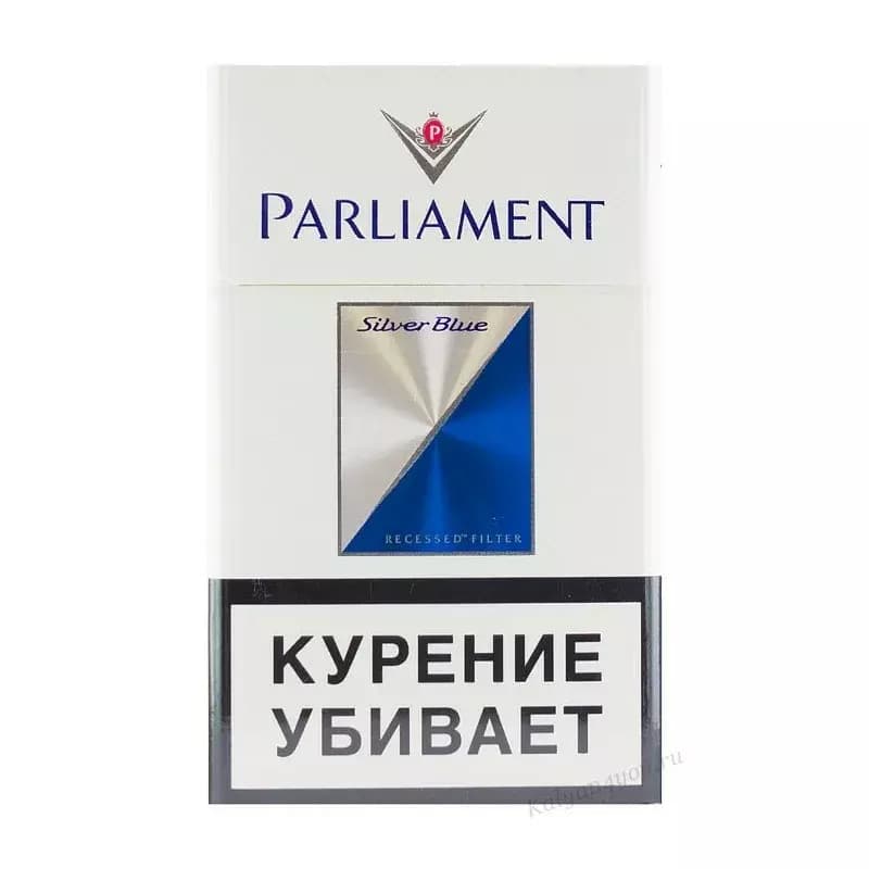 Parlament silver blue